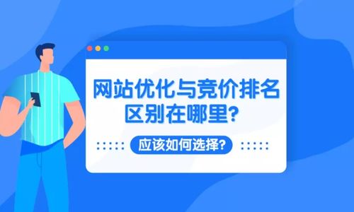 網(wǎng)站優(yōu)化與競價(jià)排名的區(qū)別及選擇策略
